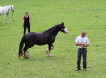 Johannes und Enya