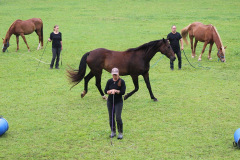 Kerstin und Lady