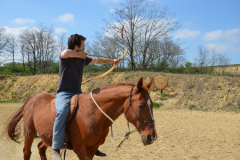 Training auf dem Reitplatz