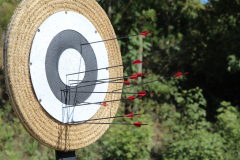 David´s arrows on the target